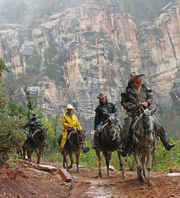 Mule riders in rainy mountains